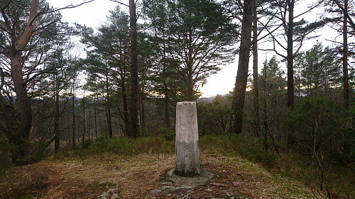 Skeisåsen i Hordnesskogen