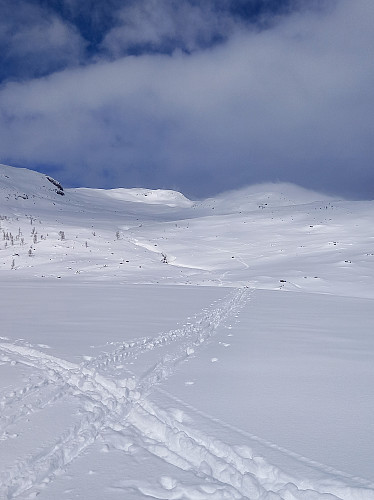 Brukbar nedkjøring - savna breiere ski 