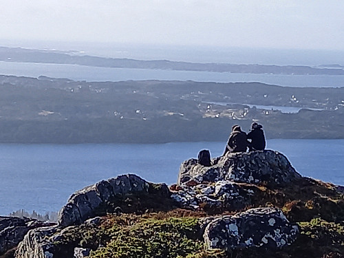 Toppen av Brakstadfjellet med utsikt mot Askøy og Øygarden 