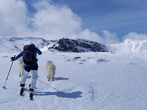 Mot Hensfjellet og Møsåkerkampen 