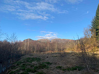 Dan_Jørgen_20210331_6064d0968f4e4.jpg