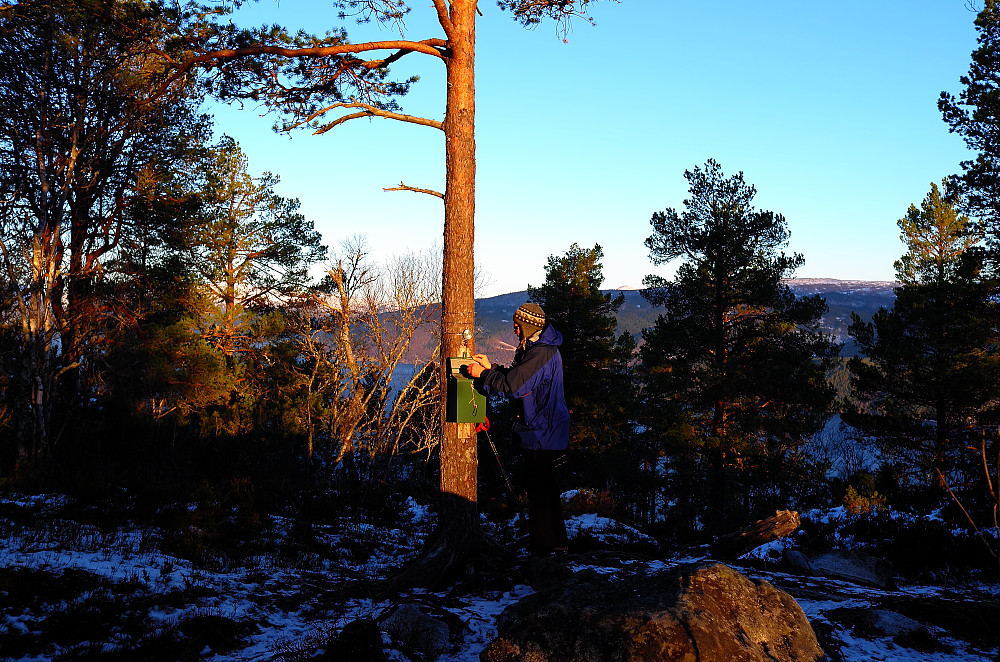 Valåsen