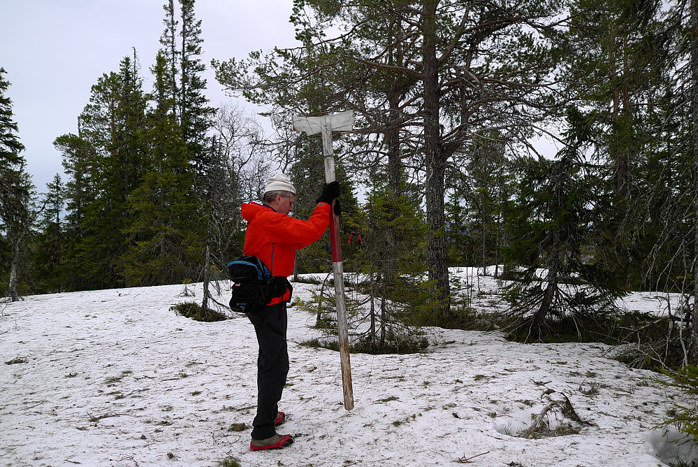 Foksetåsen