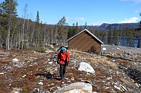 otto_005-stor.jpg