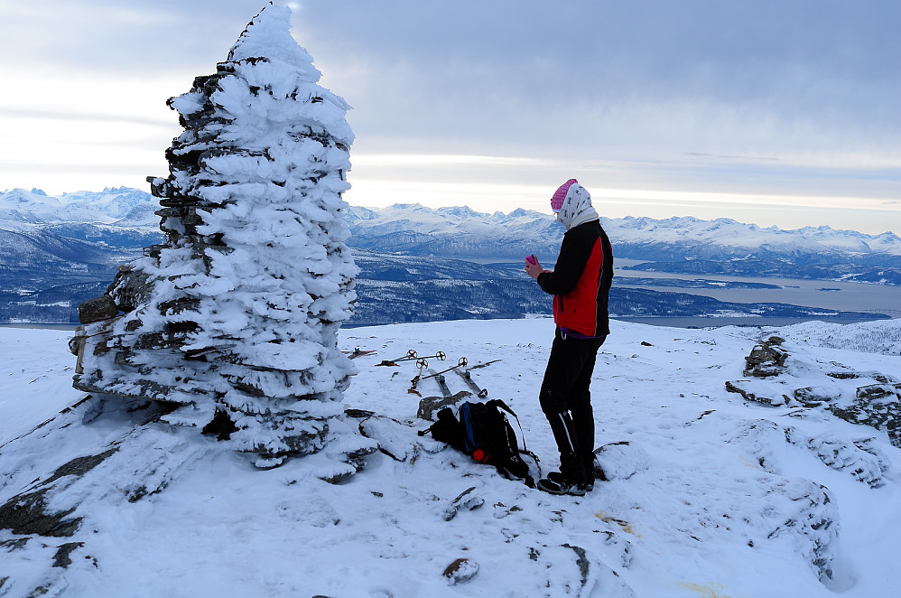 Maifjellet