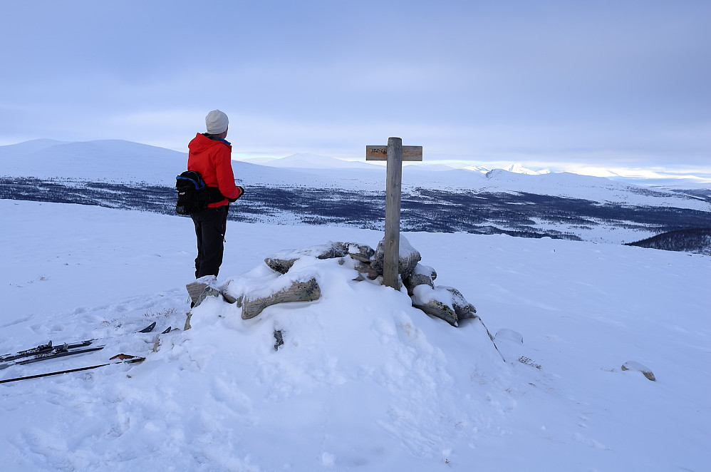 Vardnøe