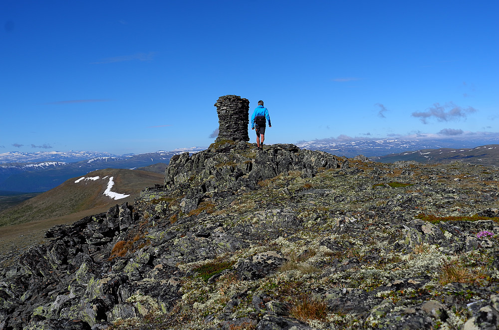 Vesttoppen
