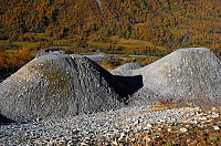 otto_009-flo.jpg