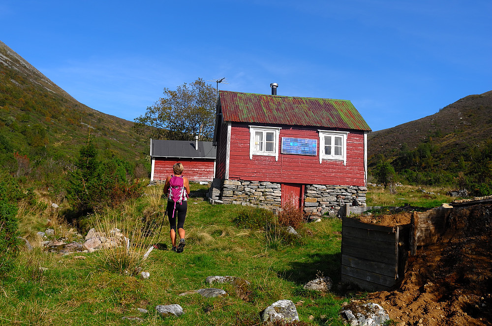 Liasætra