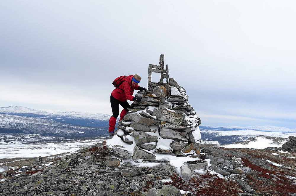 Heidi på toppen