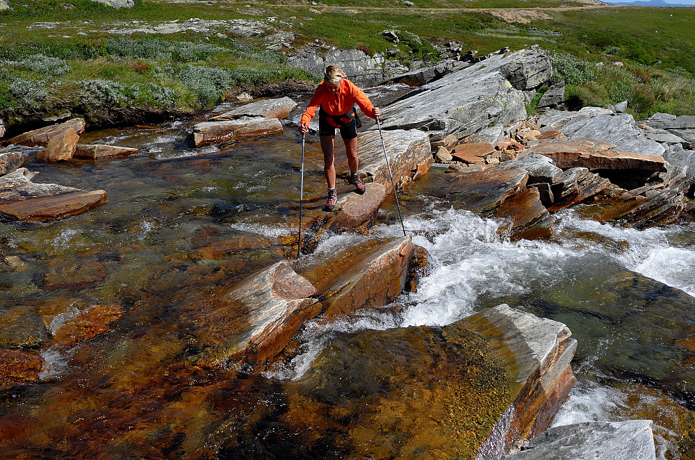 Tunga rett i munnen