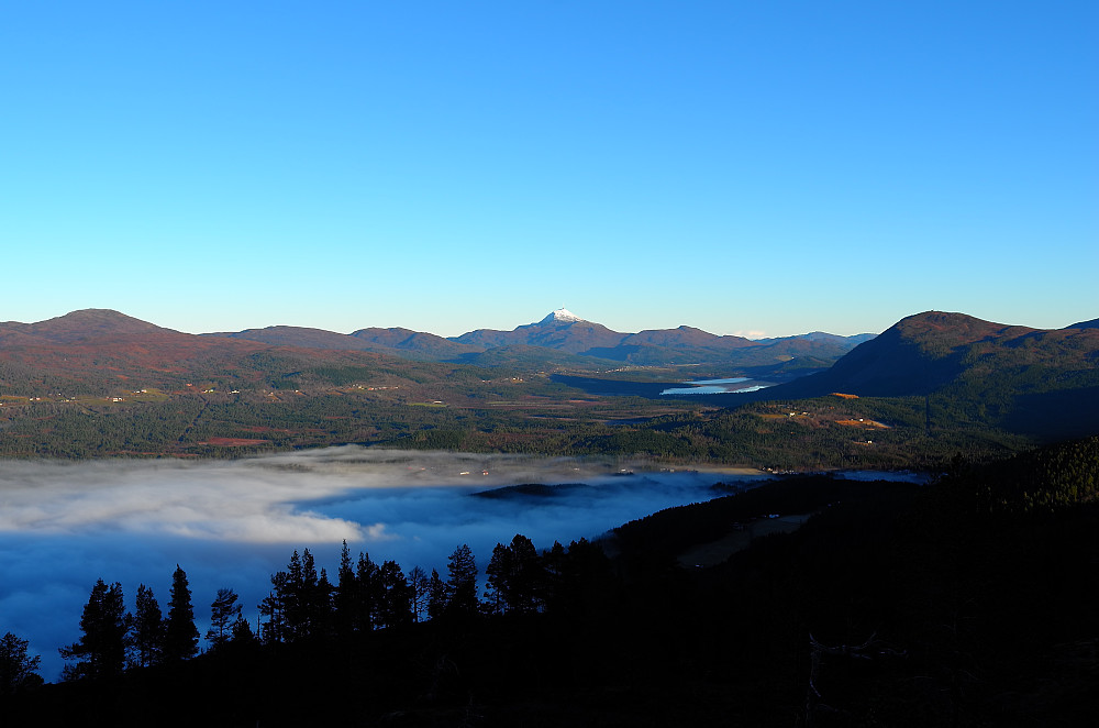 Reinsfjellet lengst bak