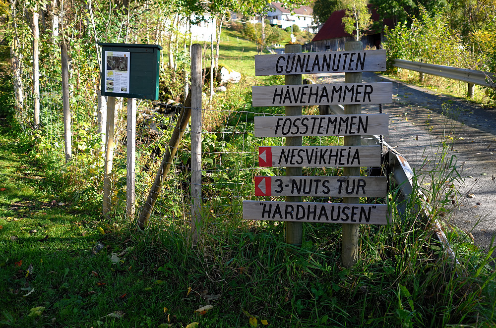 Flere turmål