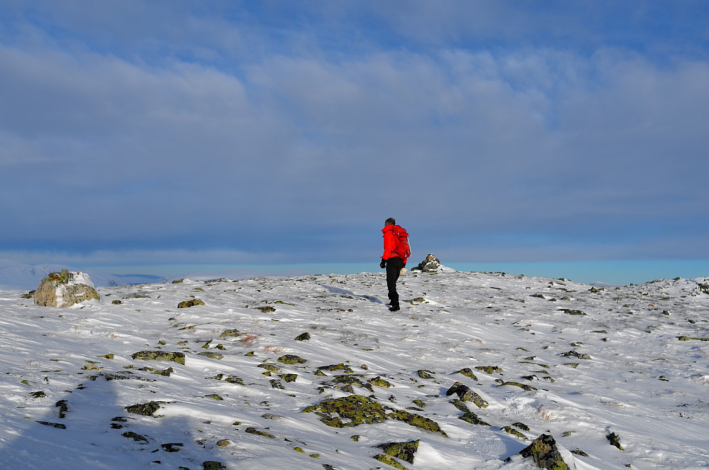 Storhøe vesttopp