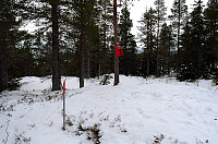 otto_025-høg.jpg