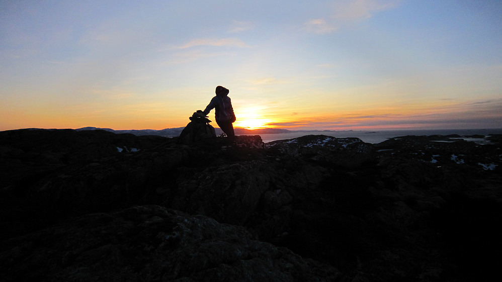 Vardfjellet