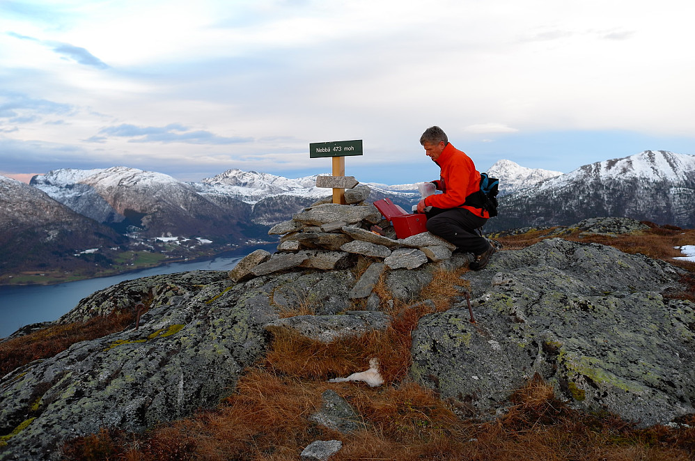 Svinnesnebba