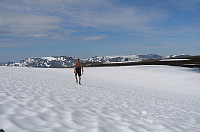 otto_045-kopp.jpg
