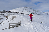 otto_046-hælfjellet.jpg