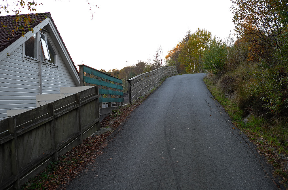 Etter gjerdet startet stien til Dyrafjellet