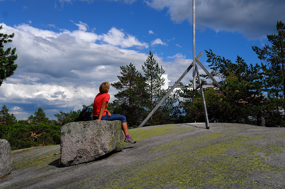 Lettgått skogstopp