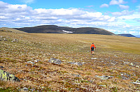 otto_055-høg.jpg