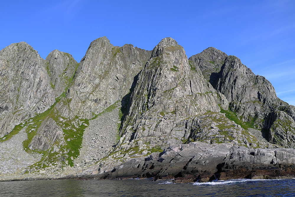 Alpine Sørfugløya