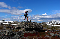 otto_062-rind.jpg