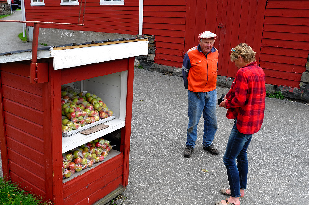 Epler i Hardanger
