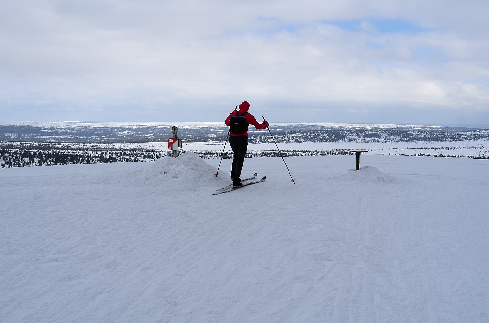 Snørvillen