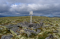 otto_123-skår.jpg