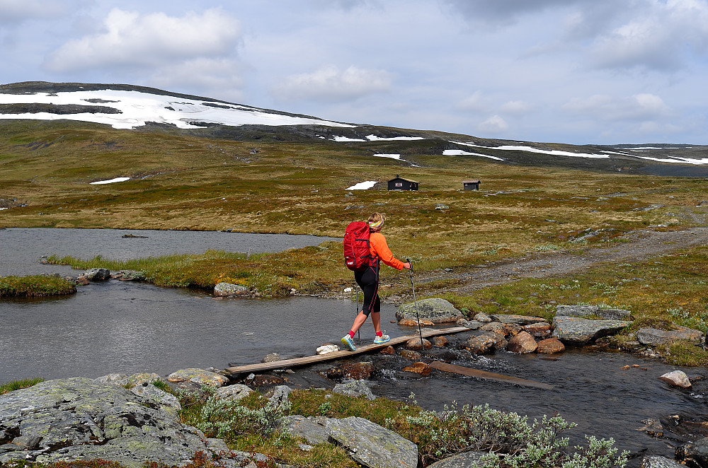 Nedre Kjølivatnet