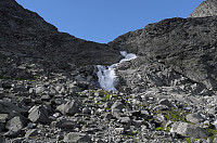 otto_194-falk.jpg
