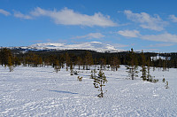 otto_20150316_55070b86c6c2e.jpg