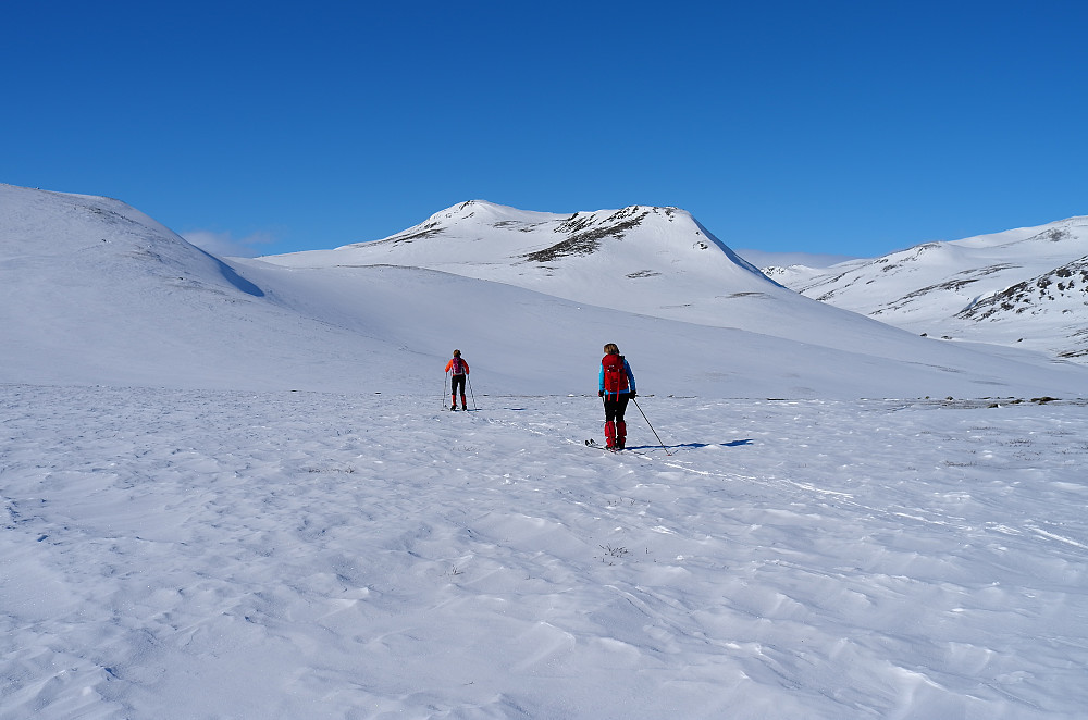 Grisungdalen og Grisungknatten