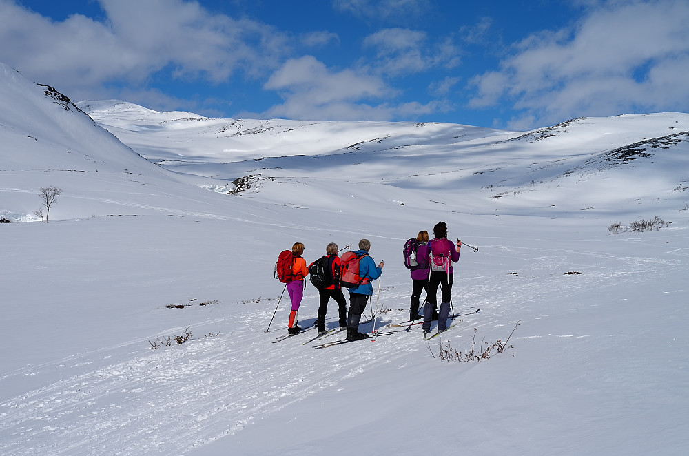 Londalen med Tohatten til venstre