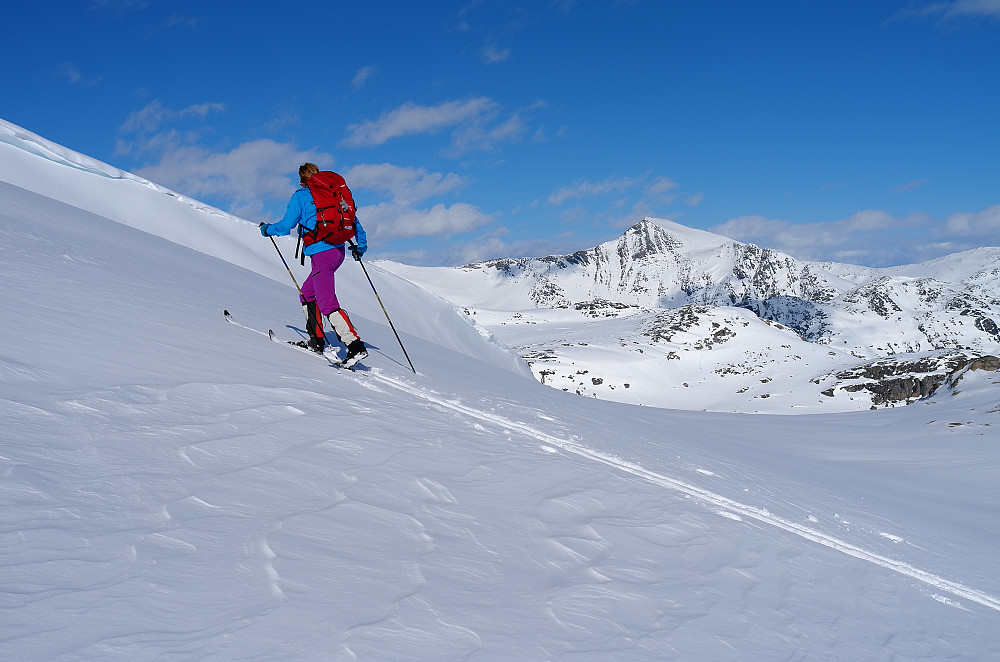 Neådalssnota i bakgrunnen