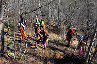 otto_20150505_55491c03635cd.jpg