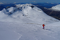 otto_20150505_55491cc322969.jpg