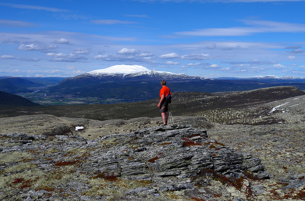 Urdskarkampen