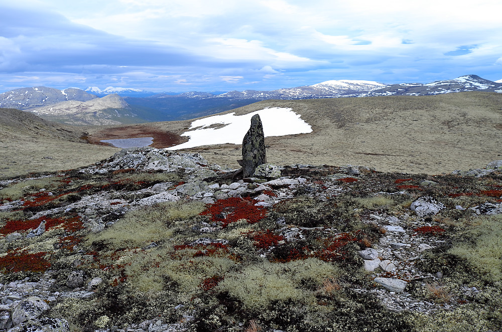 Vardfjellet