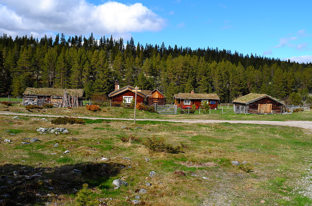 Start fra Dølbekksetra