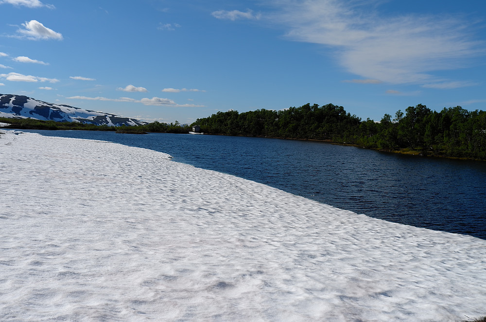 Kalvatjørni