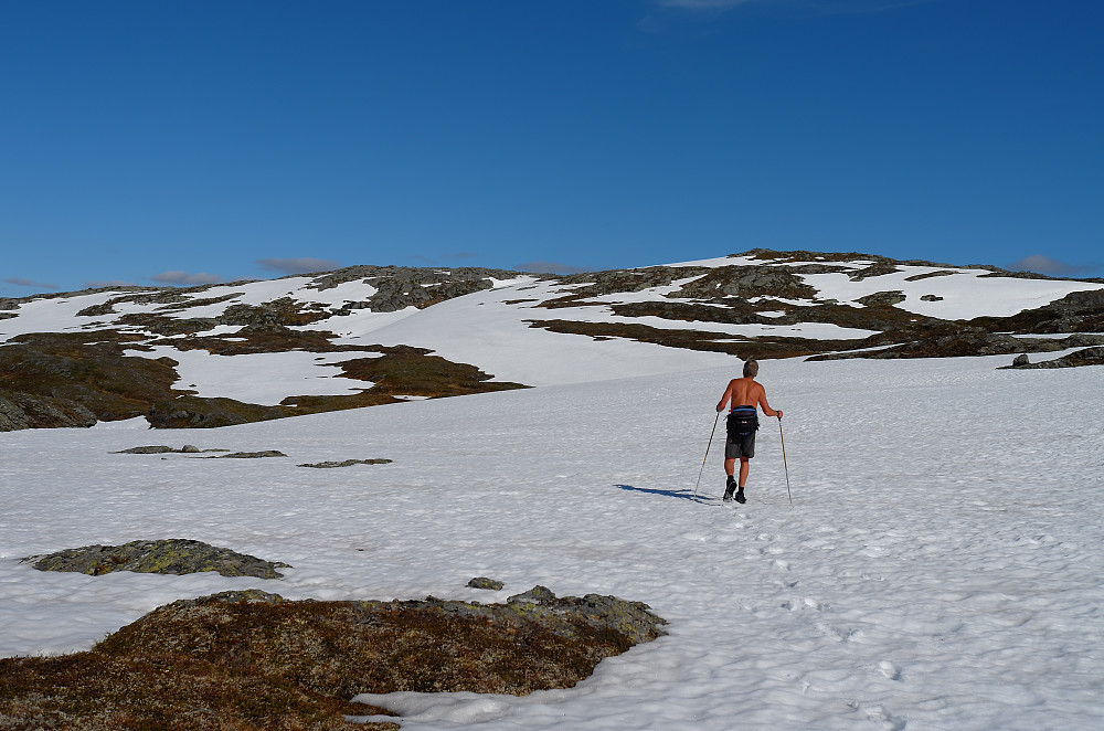 Godvær i Hordaland