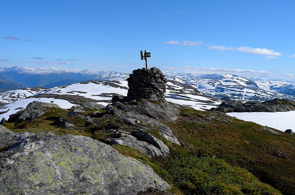 Grønahorgi