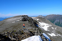 otto_20150813_55cd0a19d83e3.jpg