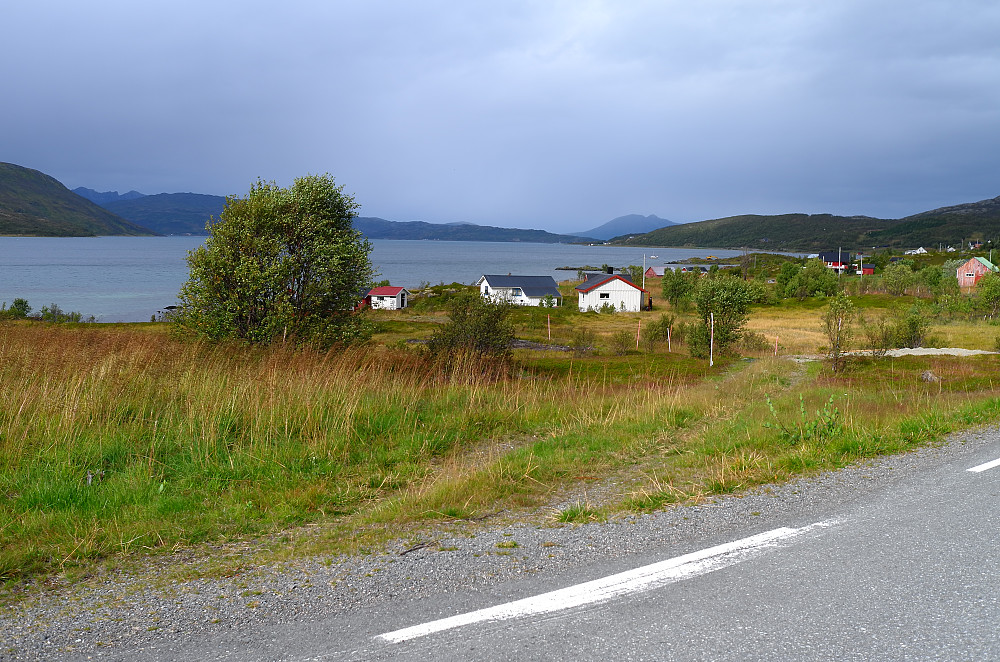 Skogsfjord