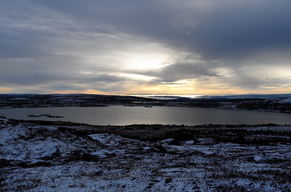 Reinsfjellet