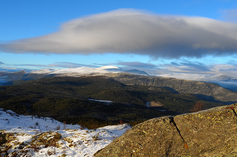 Jetta/Blåhøe