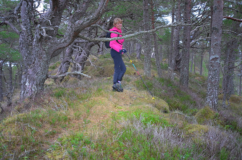 Stavsetfjellet